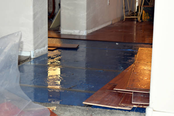 Professional Burst Pipe Cleanup technician working in Crystal City, MO